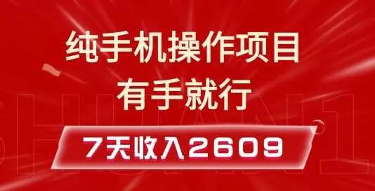 纯手机操作的小项目，有手就能做，7天收入2609+实操教程-颜夕资源网-第18张图片