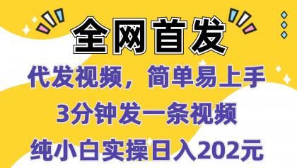 代发视频，简单易上手 3分钟发一条视频 纯小白实操日入202元-颜夕资源网-第18张图片