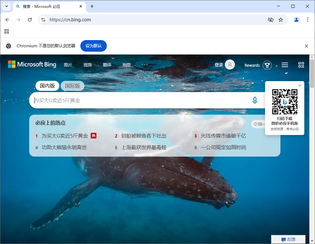 Ungoogled-Chromium v133.0.6943.98-1.1 中文绿色版-颜夕资源网-第18张图片