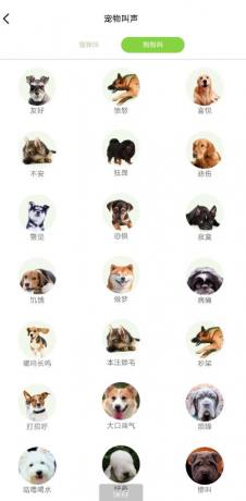 能和猫咪狗狗交流的宠物翻译器-颜夕资源网-第18张图片