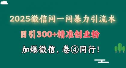 2025最新微信问一问暴力行为引流术揭密，日引300 自主创业粉，单日转现四位数-颜夕资源网-第18张图片