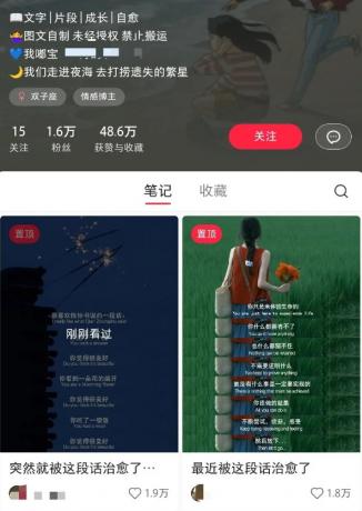 小红书治愈文案图文笔记，零门槛，一分钟制作轻松制作爆款作品月入万元-颜夕资源网-第19张图片