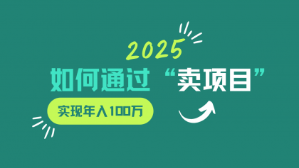 2025年如何通过“卖项目”实现年入100w-颜夕资源网-第18张图片