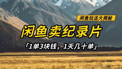 闲鱼卖纪录片，简单又赚钱的小项目，1单3块钱 1天几十单-颜夕资源网-第18张图片