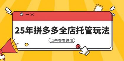 25年拼多多全店托管玩法，矩阵动销裂变玩法如何低风险盈利 新手运营秘籍-颜夕资源网-第18张图片
