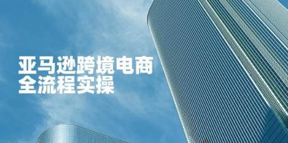 亚马逊跨境电商全流程实操，教你从零开始，掌握店铺运营与广告技巧-颜夕资源网-第18张图片