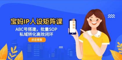 宝妈IP人设矩阵课：ABC号搭建，批量SOP，私域转化高效闭环-颜夕资源网-第18张图片