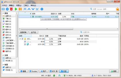 qBittorrent(强大的BT下载工具)v5.1.0.10中文绿色增强版-颜夕资源网-第18张图片