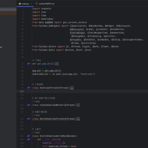 【Windows】抖音去水印工具v1.0.8-颜夕资源网-第18张图片