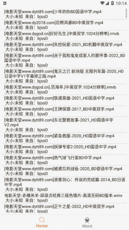 飞土搜 2.0.4 打破想象边界！BT磁力搜索全搜罗-颜夕资源网-第19张图片