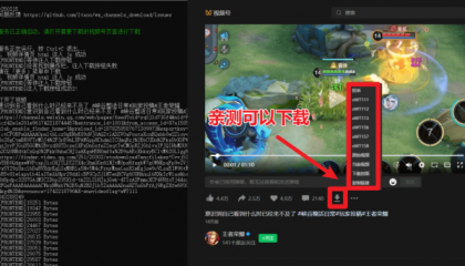 视频号下载器！支持直播回放下载，使用超简单，一键下载为MP4格式-颜夕资源网-第20张图片