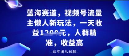 视频号流量主懒人新玩法，一天收益多张，人群精准，收益高-颜夕资源网-第18张图片