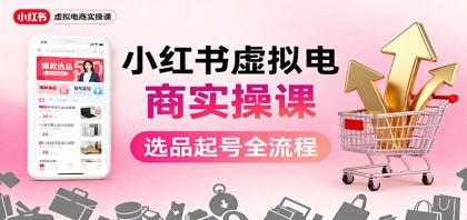 小红书虚拟电商实操课：选品起号+AI 内容创作+店铺运营+引流私域+自动化发笔记-颜夕资源网-第18张图片