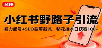 小红书野路子引流，暴力起号+SEO霸屏截流，移花接木日获客100+-颜夕资源网-第18张图片