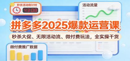 拼多多2025爆款运营课：秒杀大促、无限活动流、微付费玩法，全实操干货-颜夕资源网-第18张图片