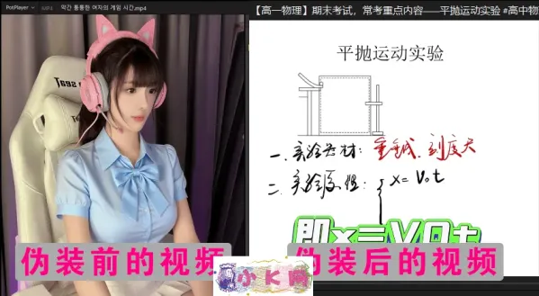 视频伪装大师VideoCamouflageMaster v1.0.0-颜夕资源网-第20张图片