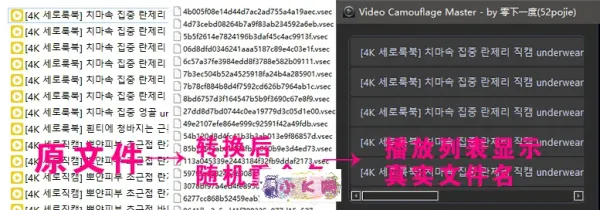 视频伪装大师VideoCamouflageMaster v1.0.0-颜夕资源网-第19张图片