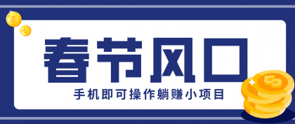 快手极速版春节推广风口，一部手机就能上手，拉新20元/人平台助力躺赚小项目-颜夕资源网-第18张图片
